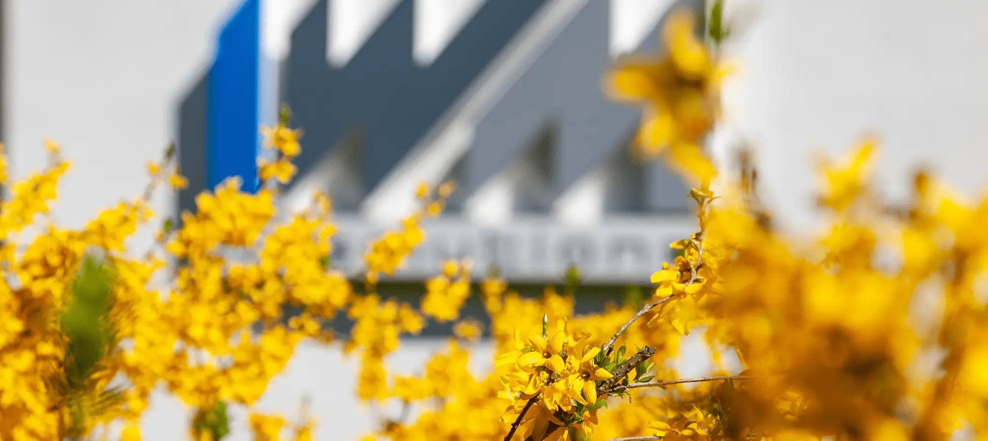 iwm Informationstechnik Team